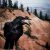 test_img-21