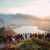 test_img-66